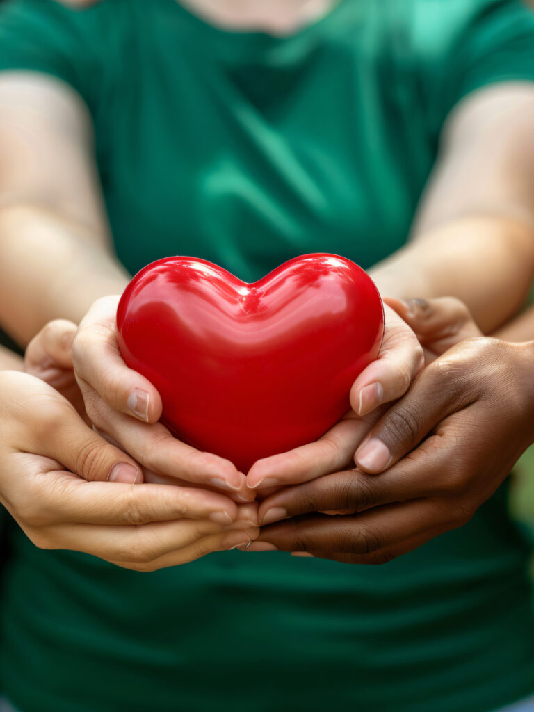 view hands holding red heart represent affection (2)